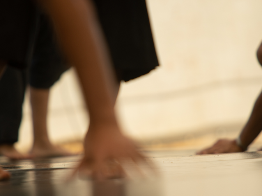 Soft movement in warm light